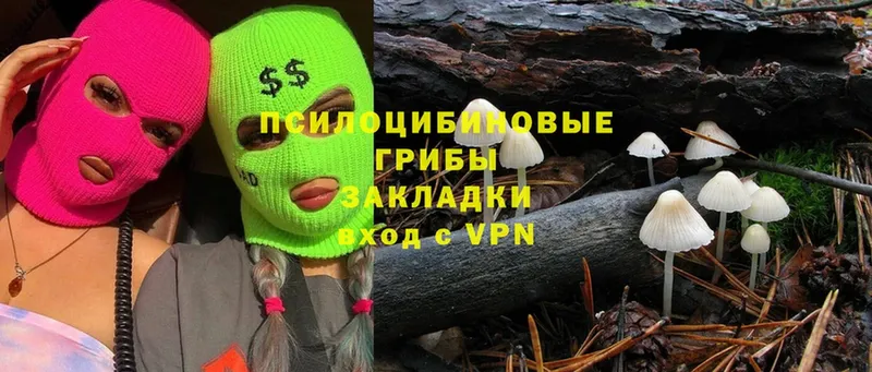 shop клад  Шумерля  Галлюциногенные грибы мухоморы  закладка 